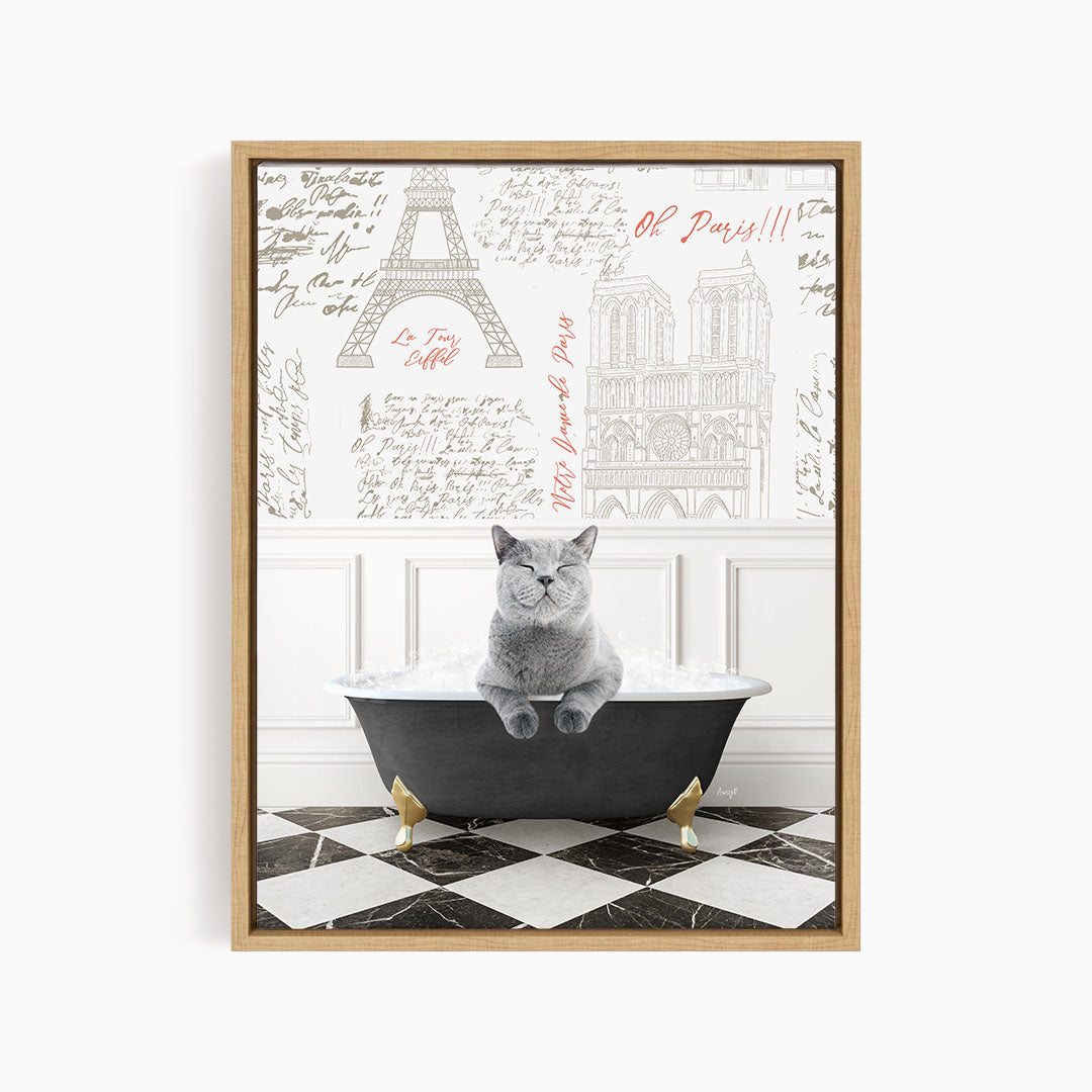 A gray cat sitting in a bathtub, surrounded by various texts and illustrations related to Paris.