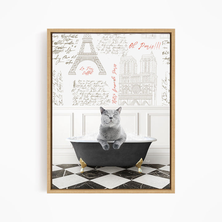 A gray cat sitting in a bathtub, surrounded by various texts and illustrations related to Paris.