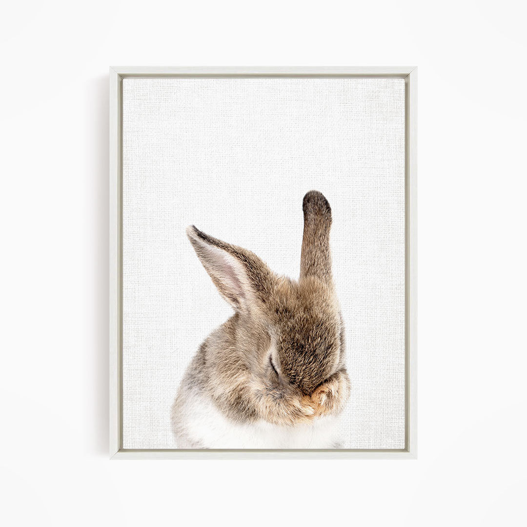 A cute, fluffy rabbit with its head resting on its paws, captured in a serene and peaceful moment.