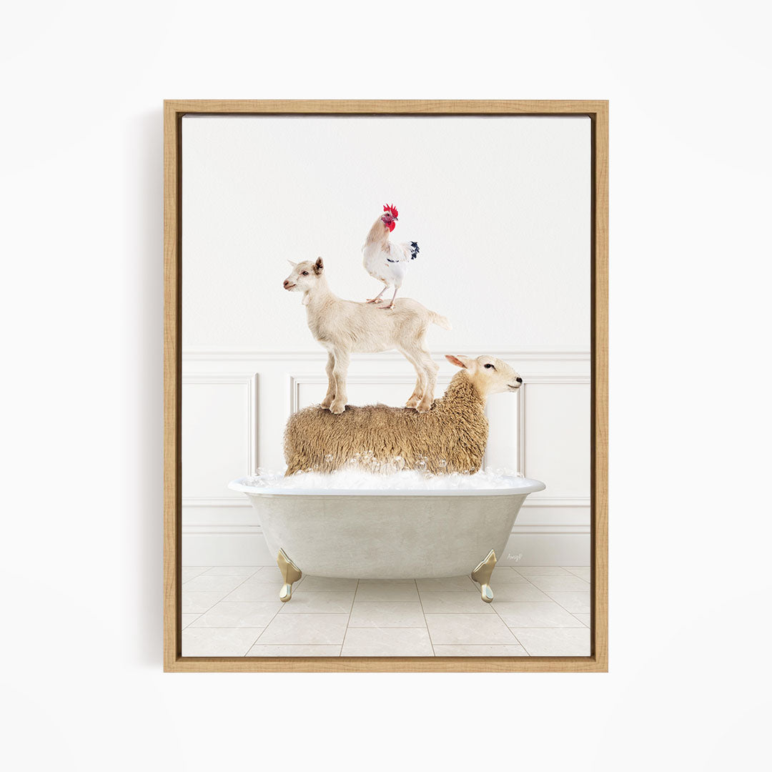 A framed image depicting a white goat standing on a sheep in a bathtub, with a rooster perched on top of the goat.