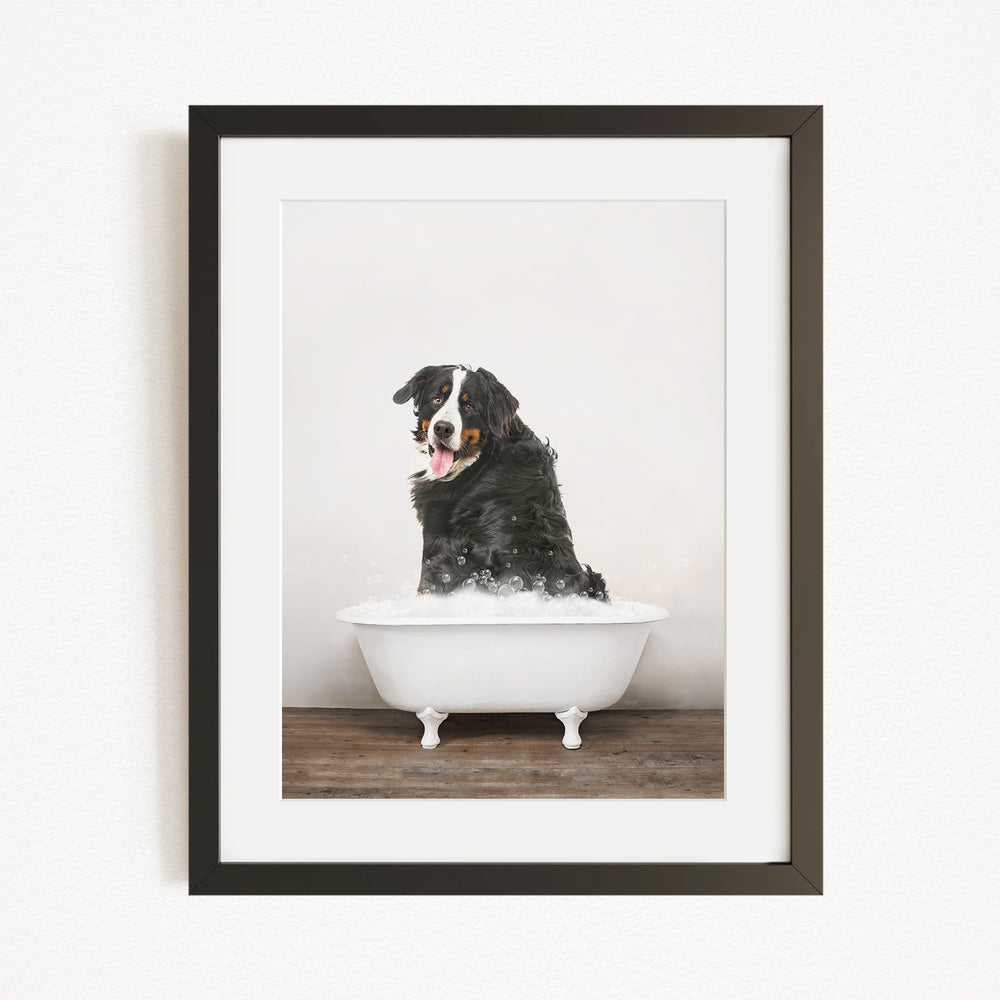 A black and white dog sitting in a white bathtub filled with bubbles, with its tongue hanging out, creating a playful and humorous scene.