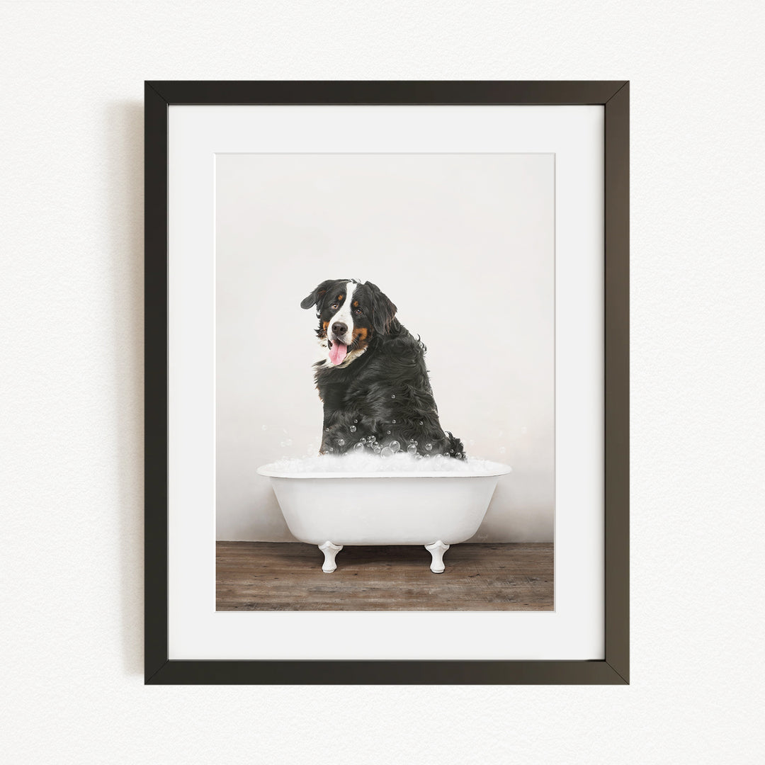 A black and white dog sitting in a white bathtub filled with bubbles, with its tongue hanging out, creating a playful and humorous scene.