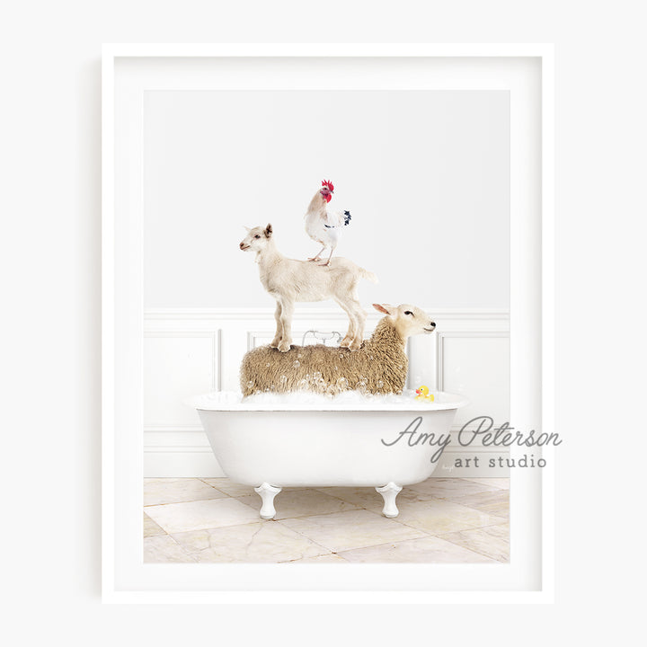 a sheep and a chicken sitting on top of a bathtub