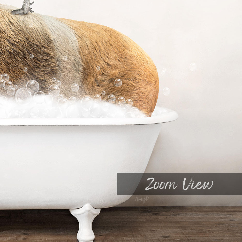 A dog is sitting in a white bathtub filled with bubbles, enjoying a relaxing bath.