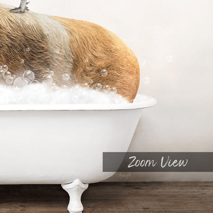 A dog is sitting in a white bathtub filled with bubbles, enjoying a relaxing bath.