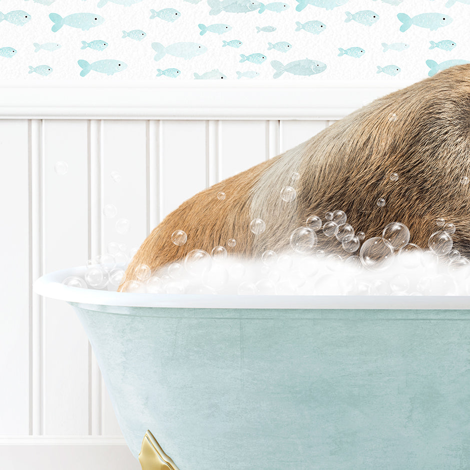 a dog is taking a bath in a bathtub