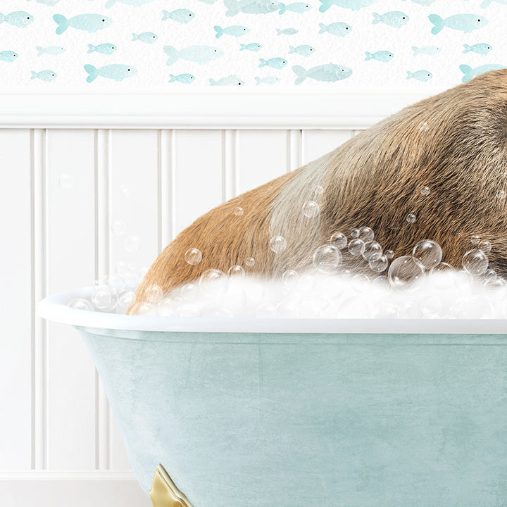 a dog is taking a bath in a bathtub