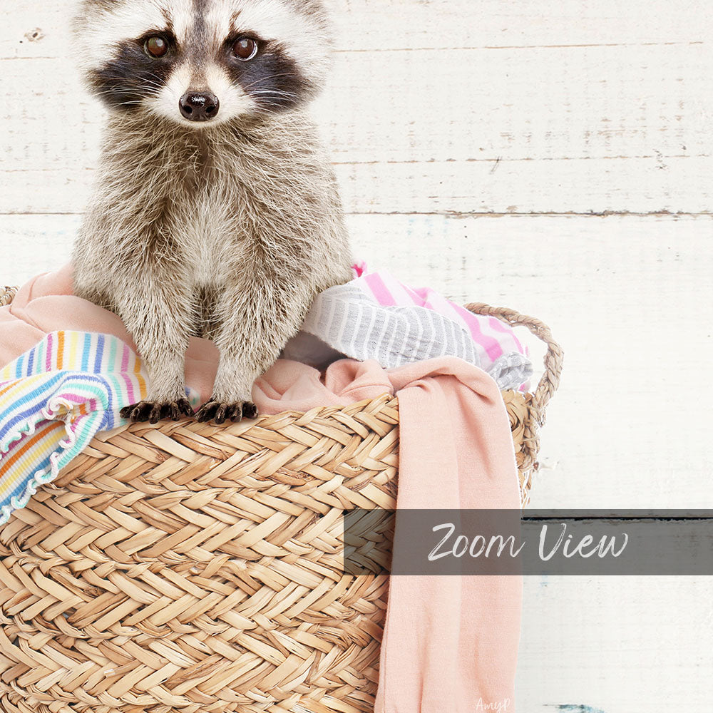 A raccoon sitting on a woven basket filled with clothes, with a "Zoom View" text overlay.