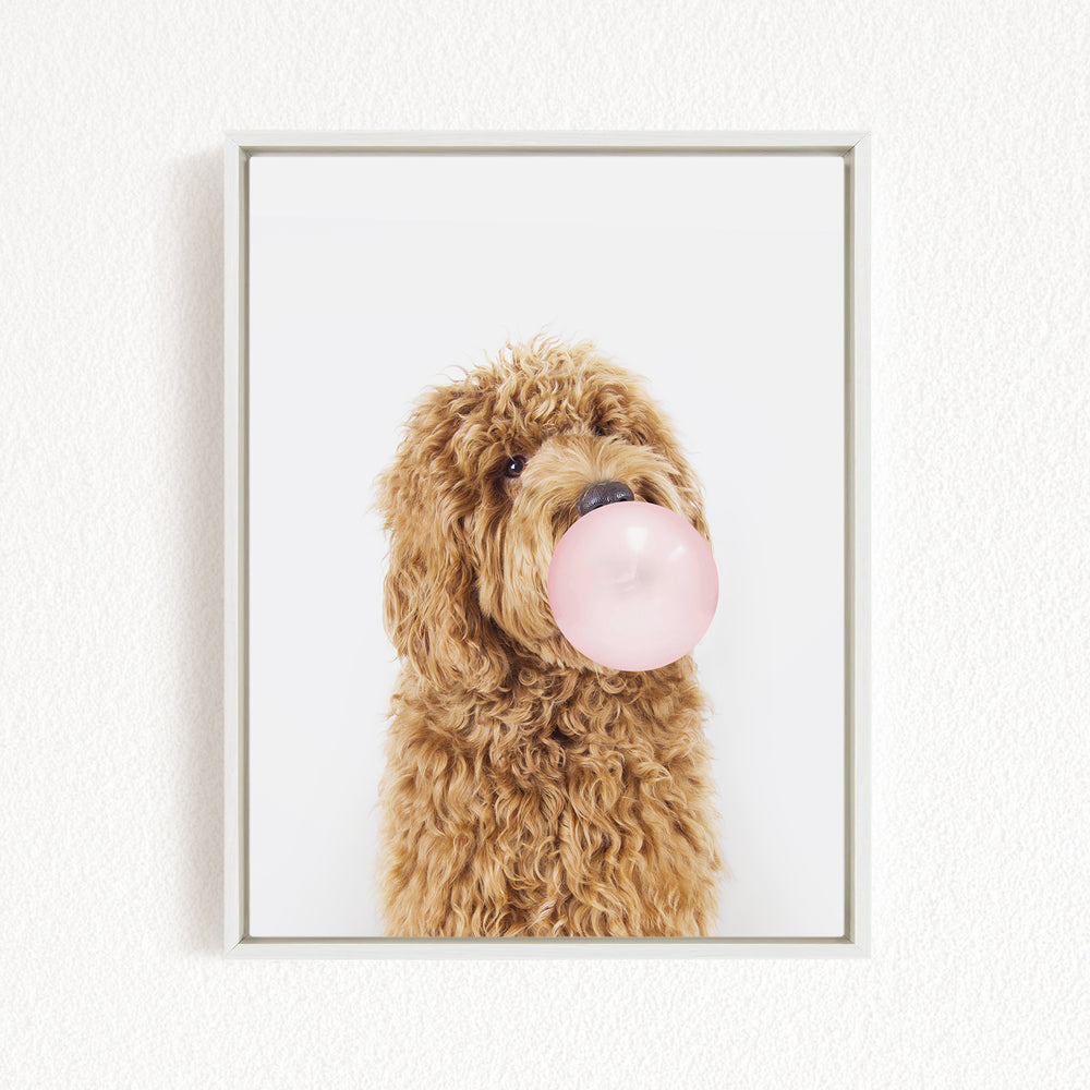 A brown dog with curly fur is blowing a bubble with a pink bubble gum bubble.