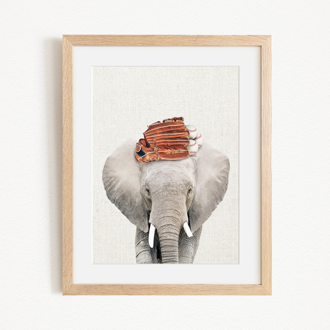 A framed photograph of an elephant wearing a baseball cap.