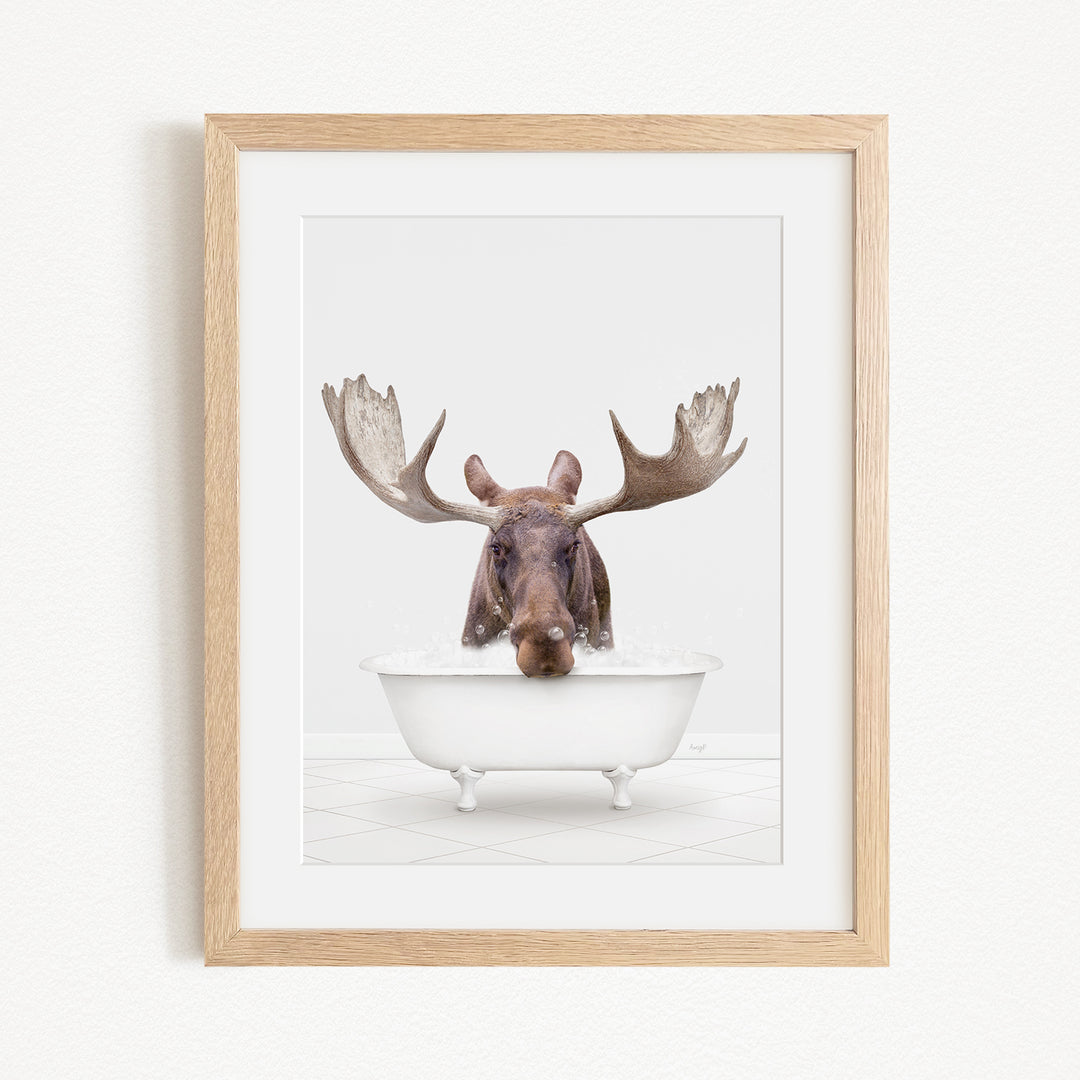 A moose with large antlers is sitting in a white bathtub, appearing to be enjoying a bath.