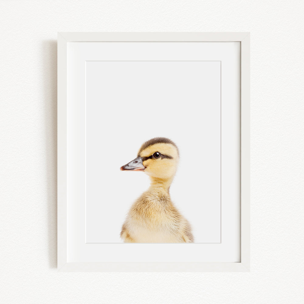 A white duck with a yellow bill and brown feathers is the focus of the image, which is framed and displayed on a white wall.