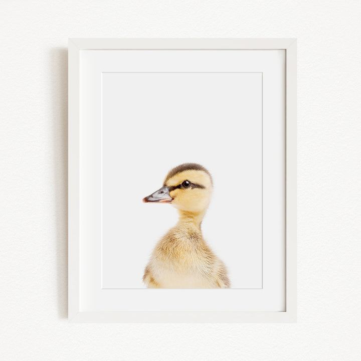 A white duck with a yellow bill and brown feathers is the focus of the image, which is framed and displayed on a white wall.