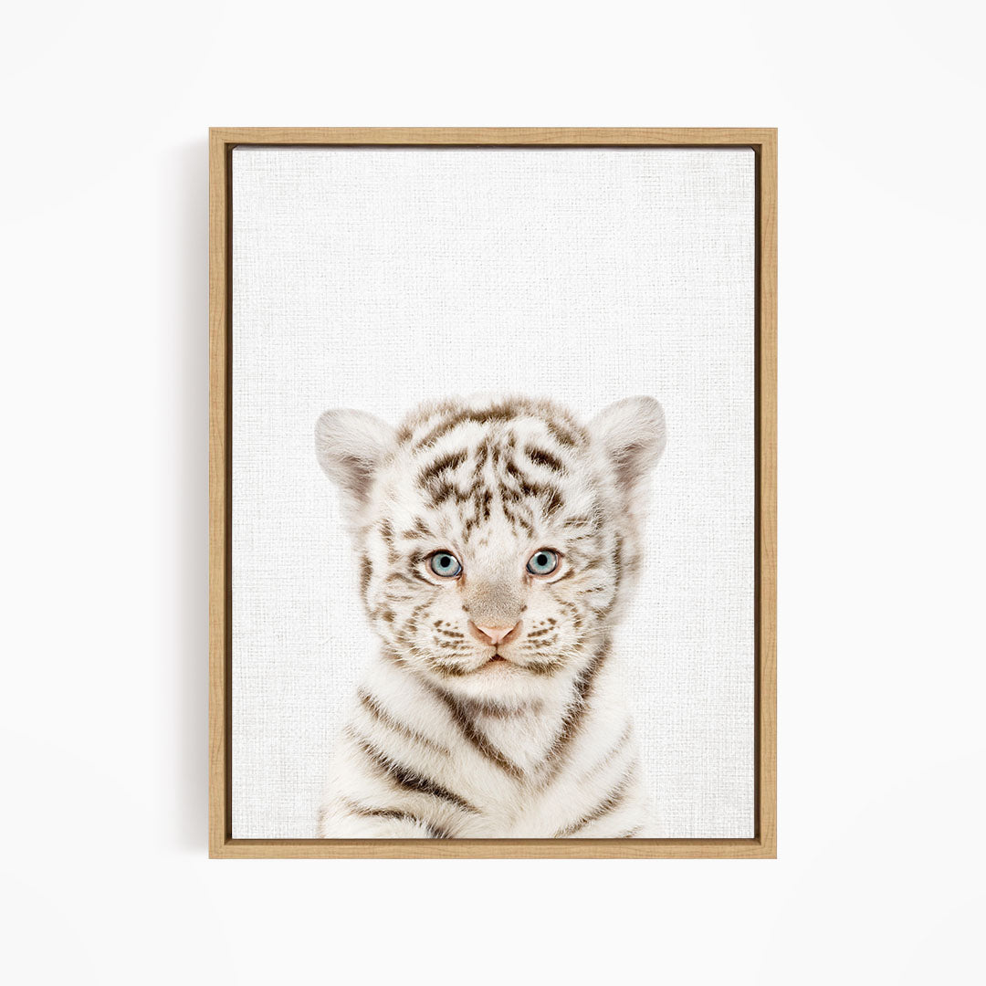 A young tiger cub with striking blue eyes and a white and black striped pattern is the focal point of the framed print.