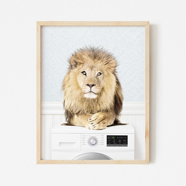 a picture of a lion sitting on top of a washing machine