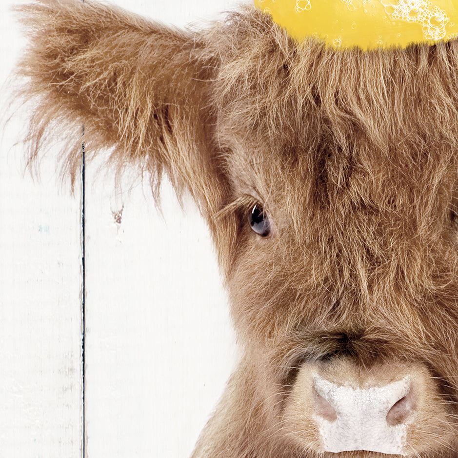 a close up of a cow with a yellow hat on it's head