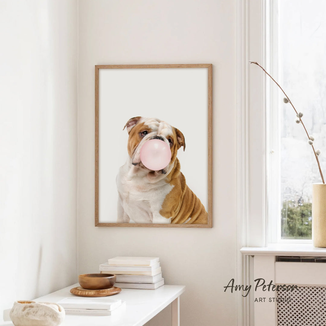 A framed photograph of a bulldog blowing a bubble gum bubble is hanging on a white wall in a room with a white table and a window.