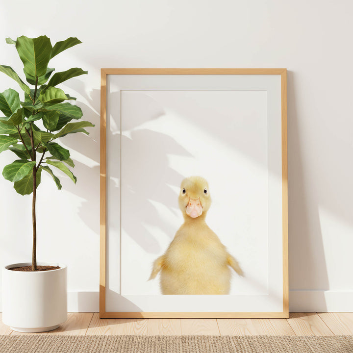 A framed photograph of a cute yellow duck is displayed on a white wall, with a potted plant to the left.
