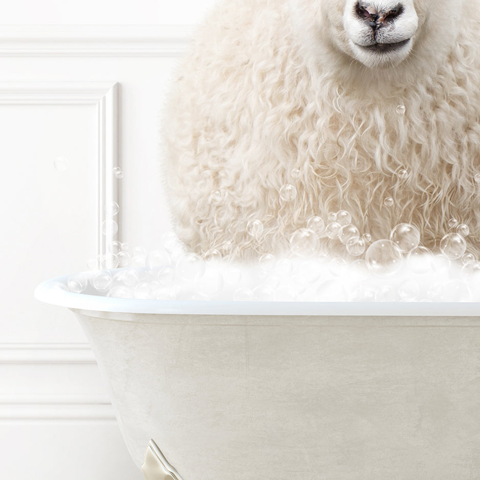 a sheep is sitting in a bathtub with bubbles