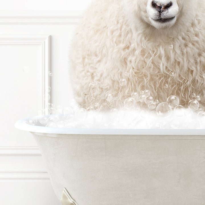 a sheep is sitting in a bathtub with bubbles