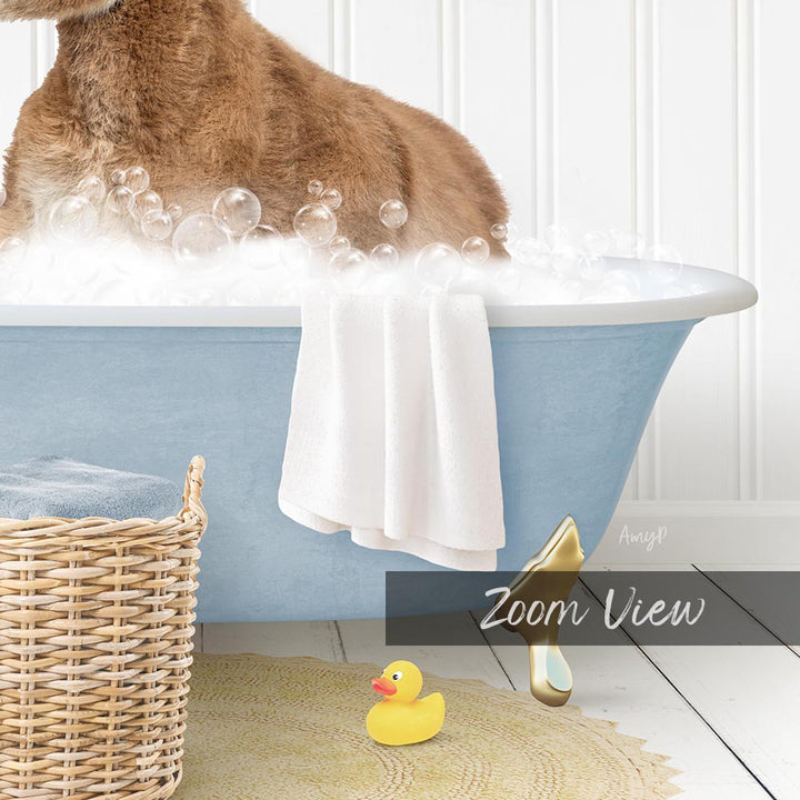 A brown dog is sitting in a blue bathtub filled with bubbles, with a white towel and rubber duck nearby.