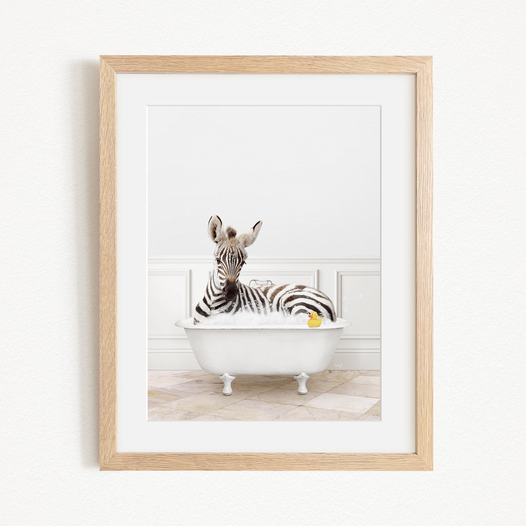 A zebra is sitting in a white bathtub, with a yellow rubber duck floating on the water.