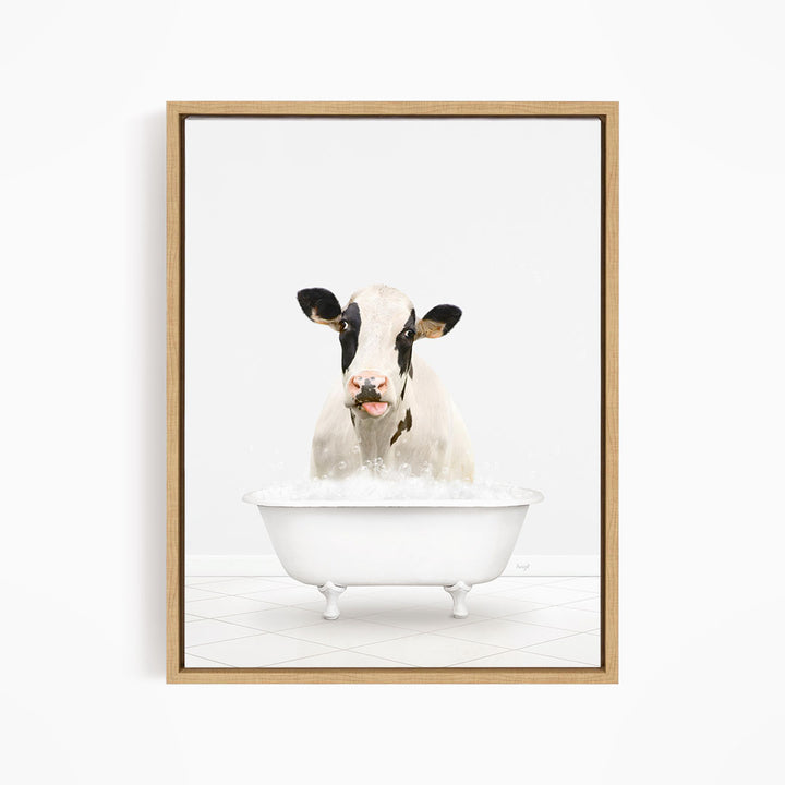 A black and white cow is sitting in a white bathtub filled with water, looking directly at the camera.