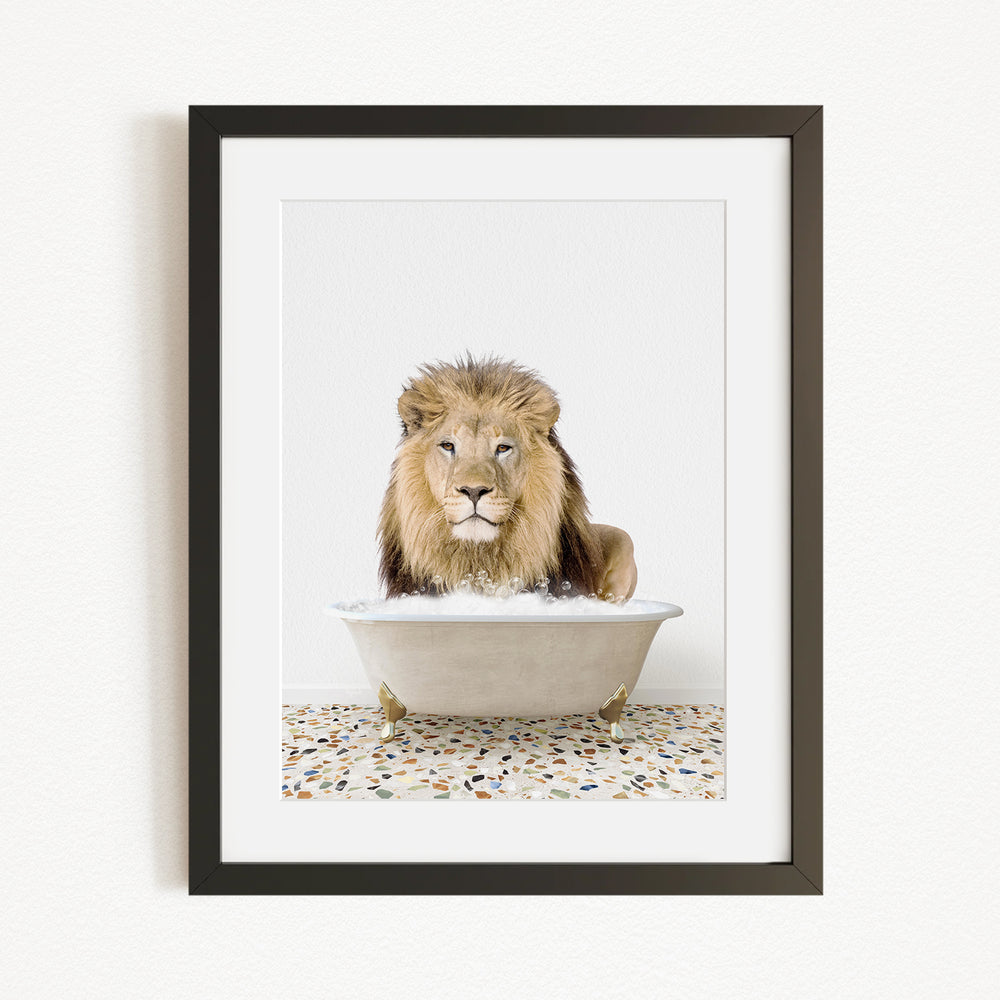 A lion sitting in a bathtub filled with water, looking directly at the camera.