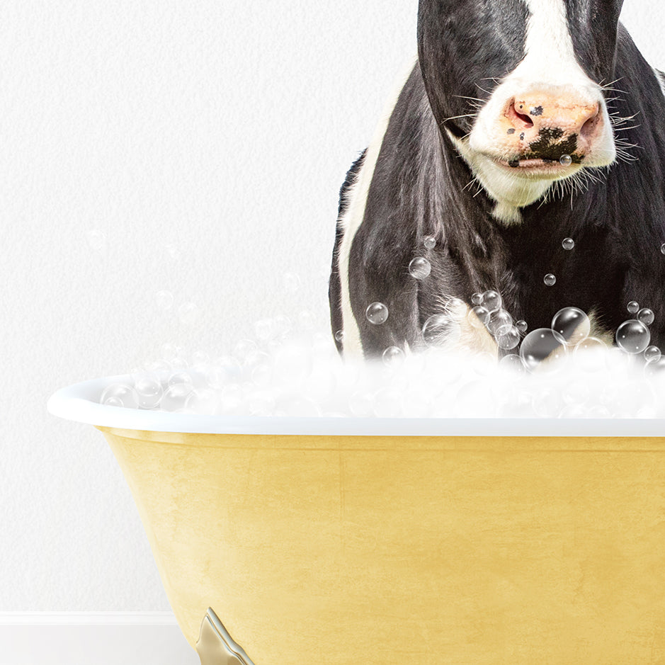 a black and white cow sitting in a bathtub full of bubbles