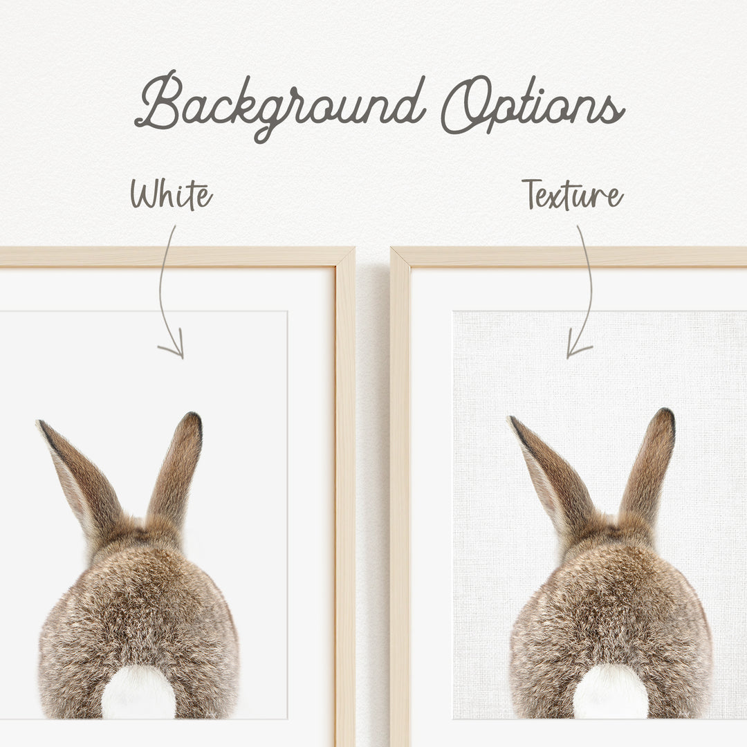 a close-up of a rabbit's back, with the text "Background Options" and "White Texture" indicating that there are two different backgrounds available for the rabbit.