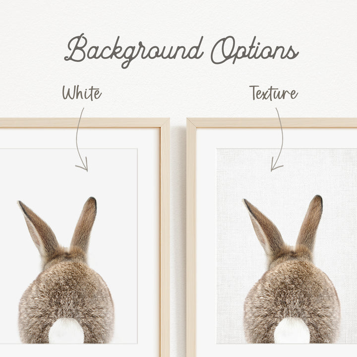 a close-up of a rabbit's back, with the text "Background Options" and "White Texture" indicating that there are two different backgrounds available for the rabbit.