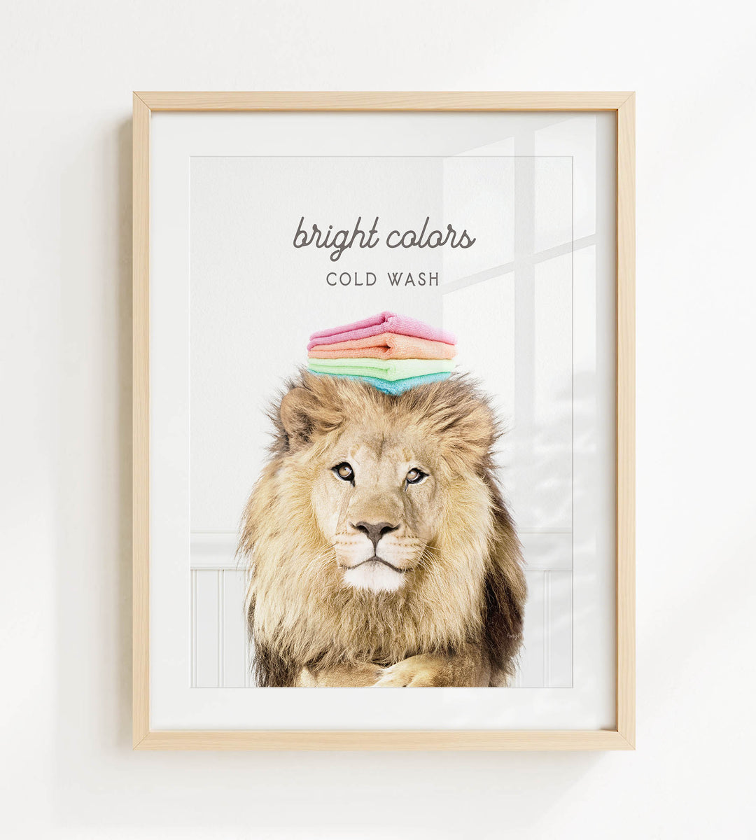 A framed image of a lion with a stack of colorful towels on its head, accompanied by the text "bright colors" and "COLD WASH".
