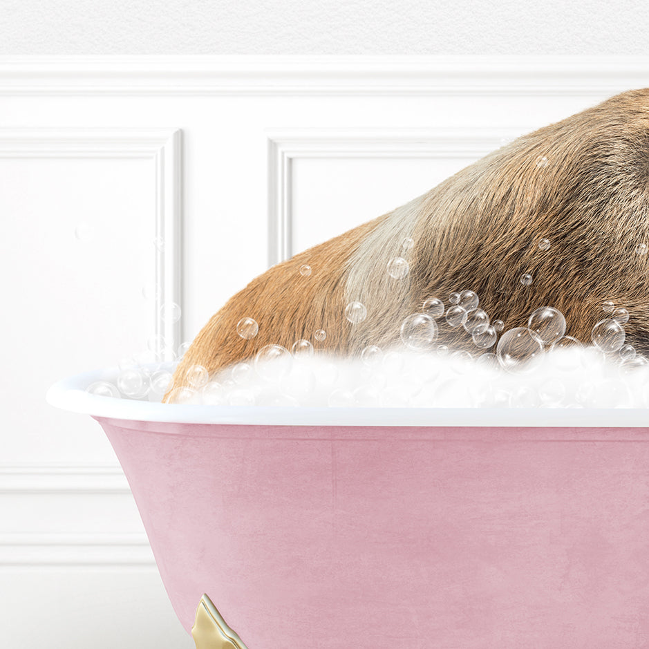 a dog taking a bath in a pink bathtub