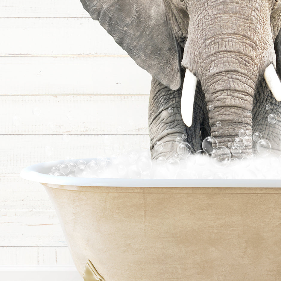 an elephant is taking a bath in a bathtub