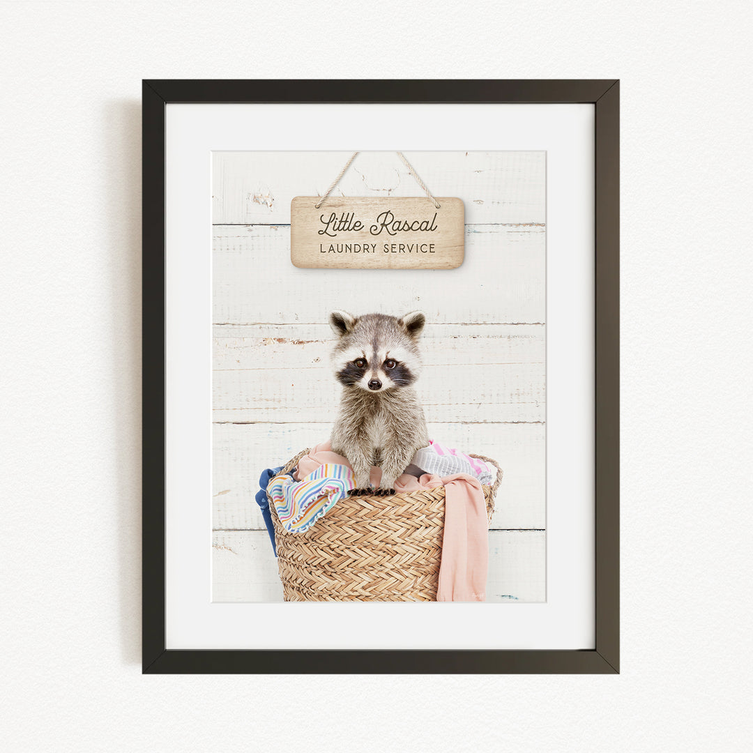 A raccoon sitting in a woven laundry basket, with a sign above that reads "Little Racal Laundry Service".