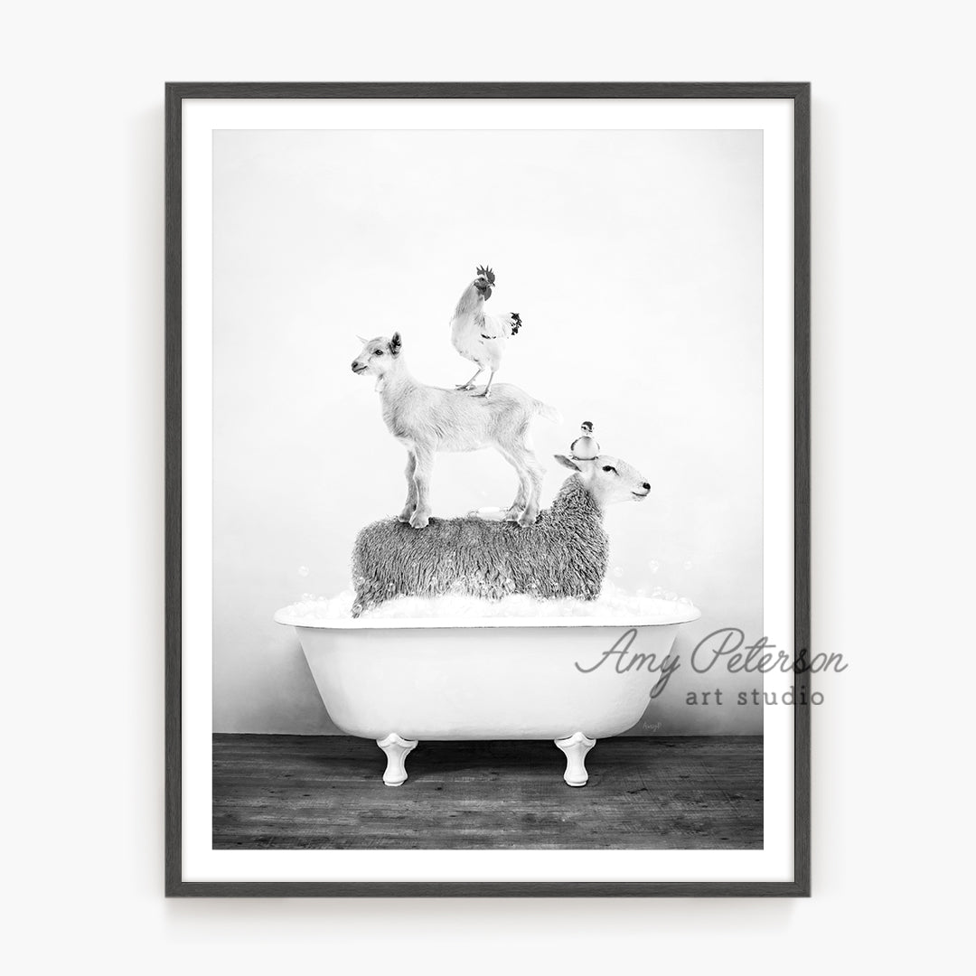 a black and white photo of a goat on top of a bathtub