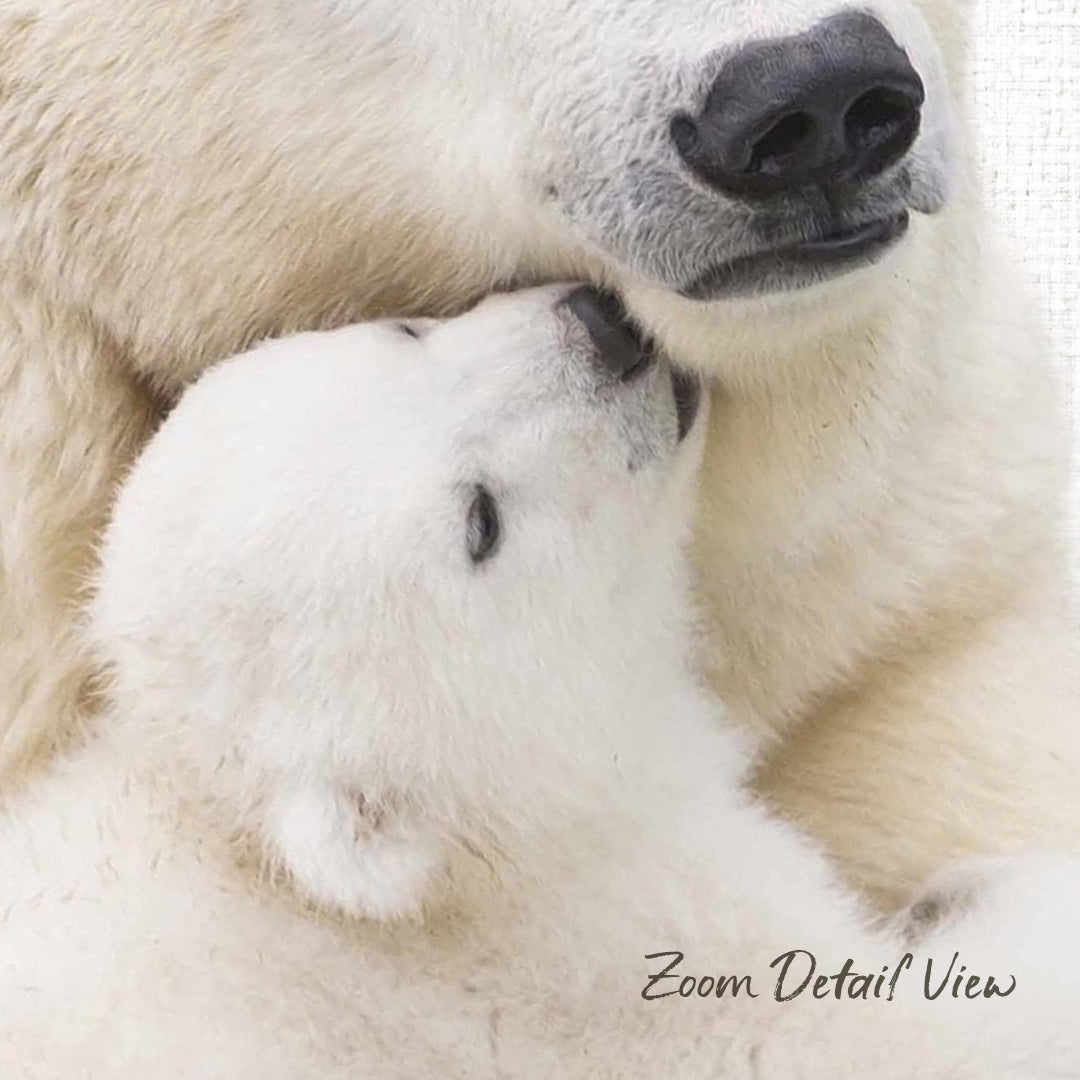 A close-up image of a mother polar bear nuzzling her cub, with the cub's soft white fur and the mother's black nose visible.