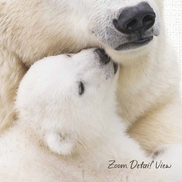 A close-up image of a mother polar bear nuzzling her cub, with the cub's soft white fur and the mother's black nose visible.