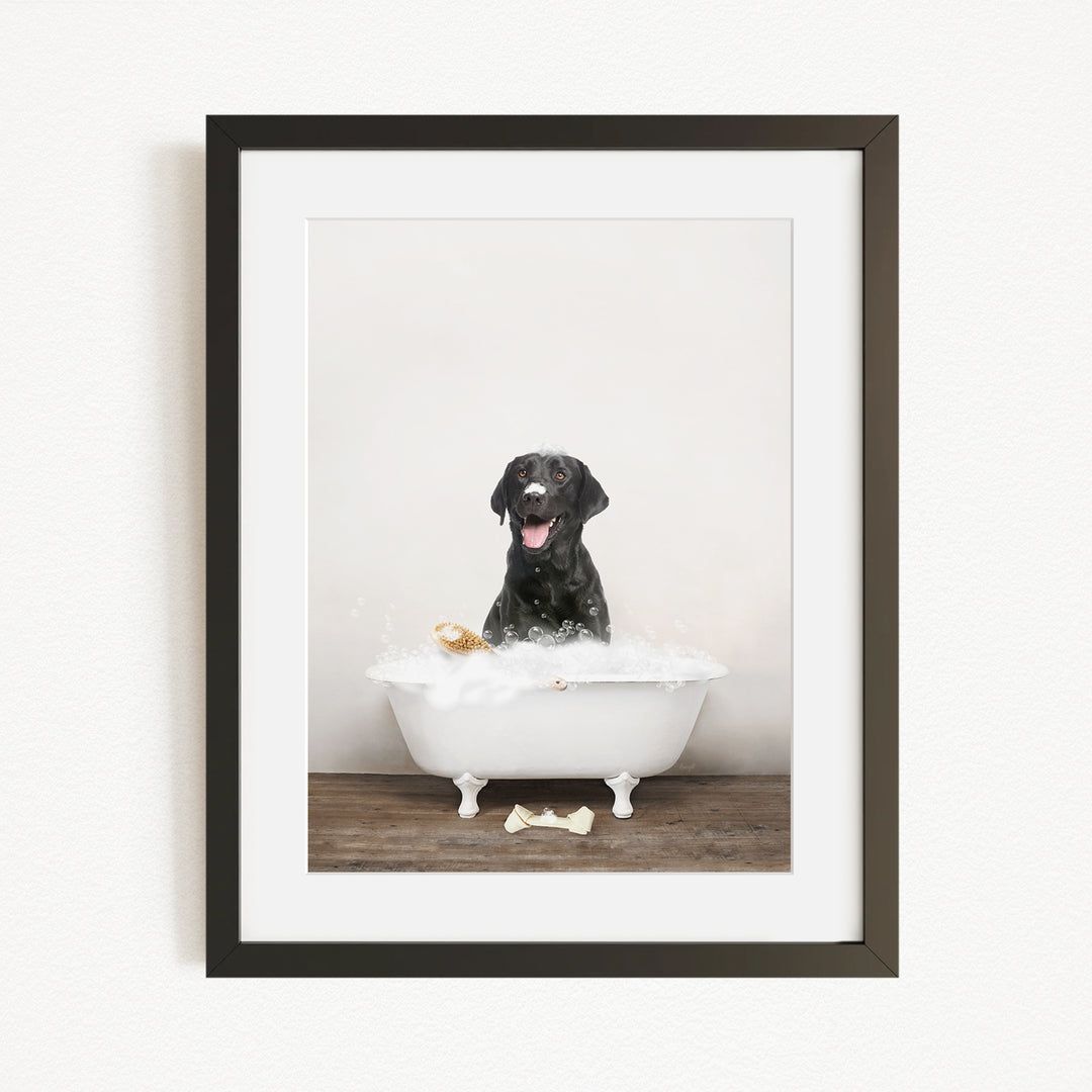 A black dog sitting in a white bathtub filled with bubbles, appearing to enjoy the bath.