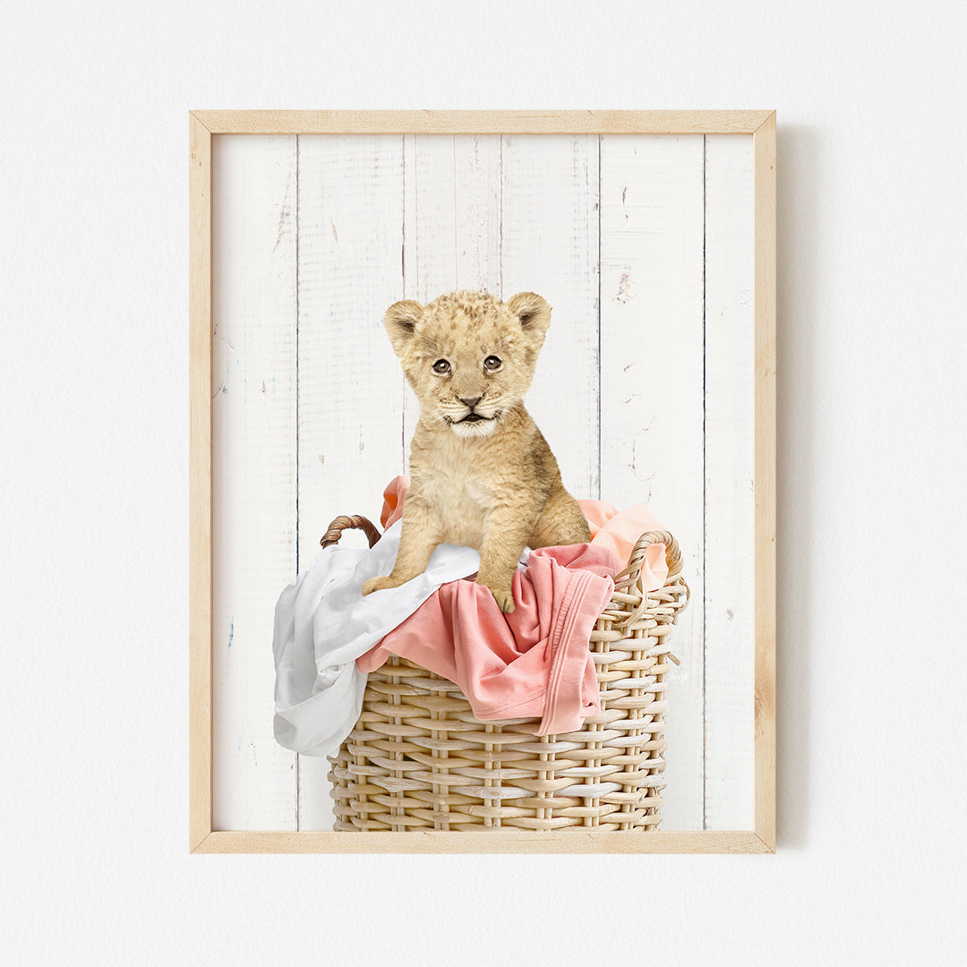 a picture of a baby bear sitting in a basket