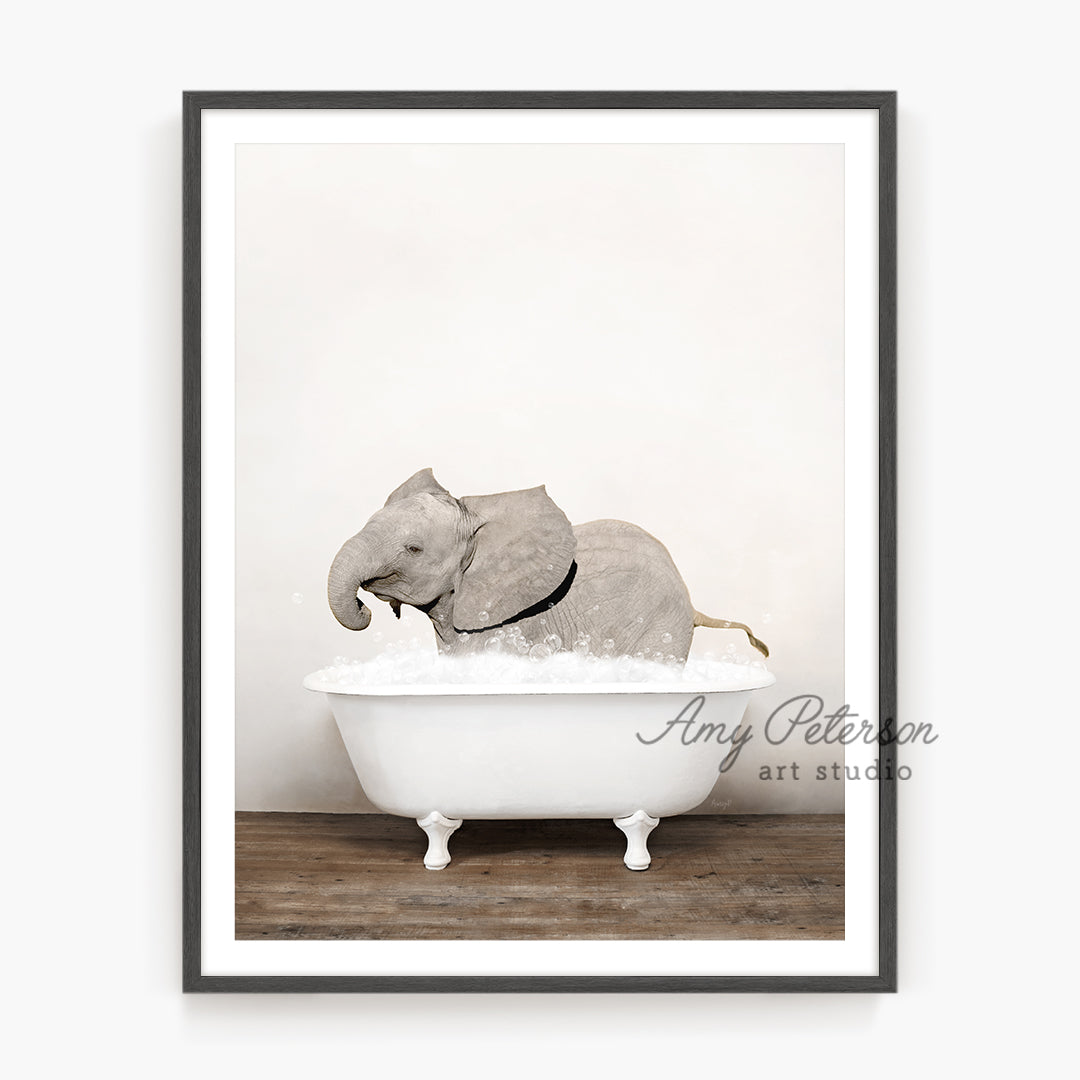 a picture of an elephant in a bathtub