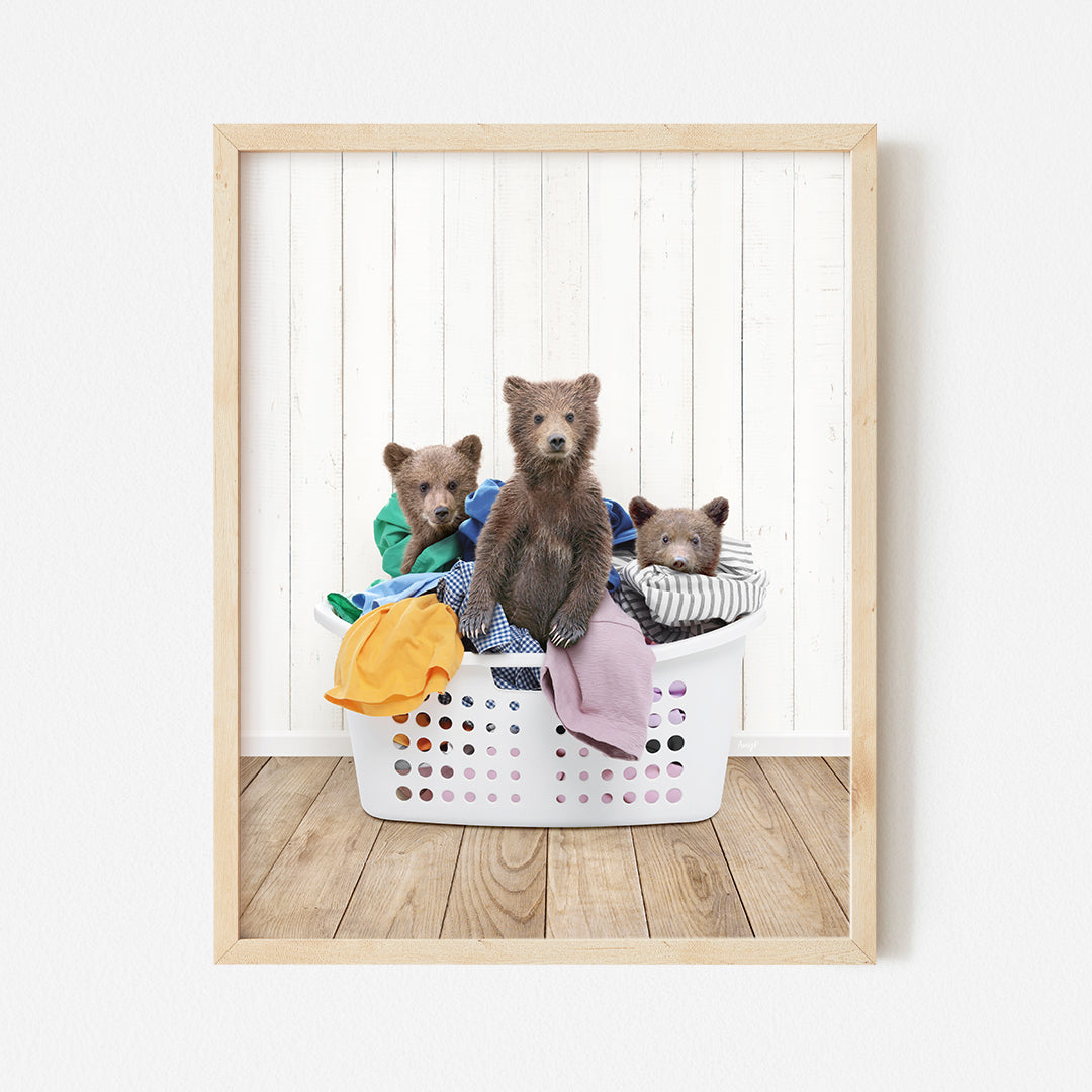 a picture of three bears in a laundry basket