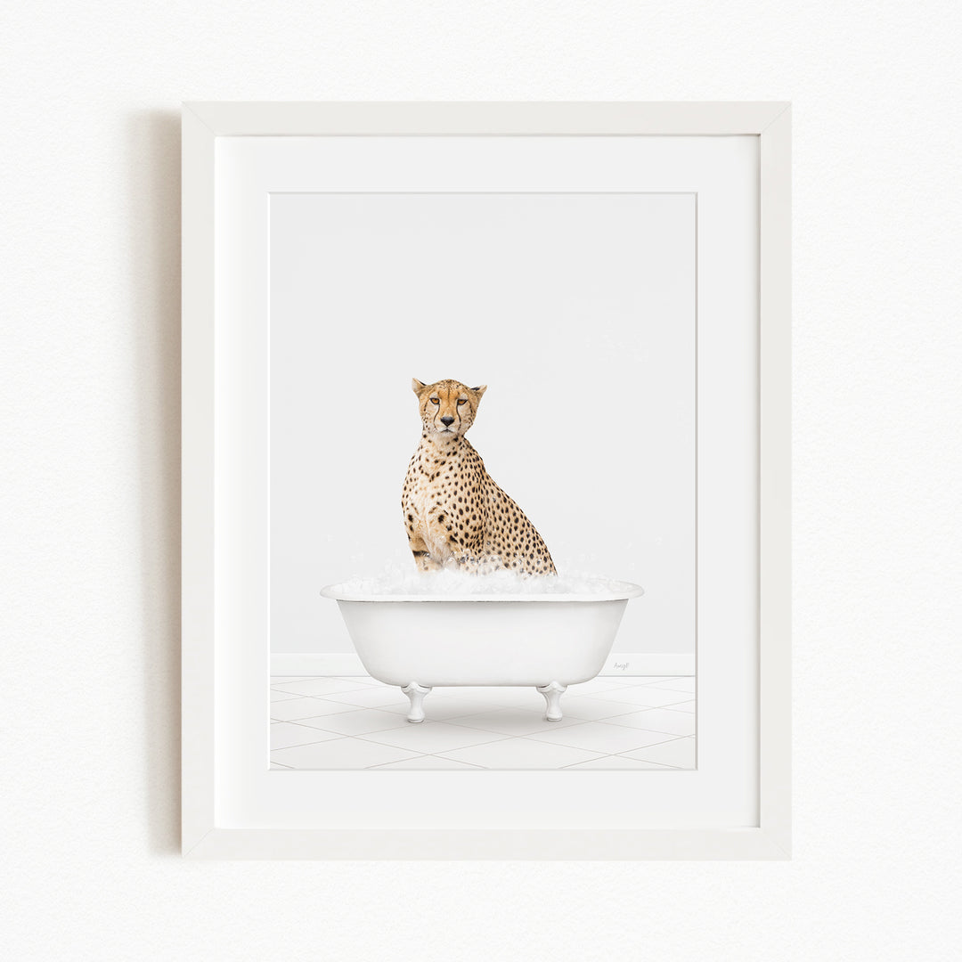 A cheetah sitting in a white bathtub filled with water.