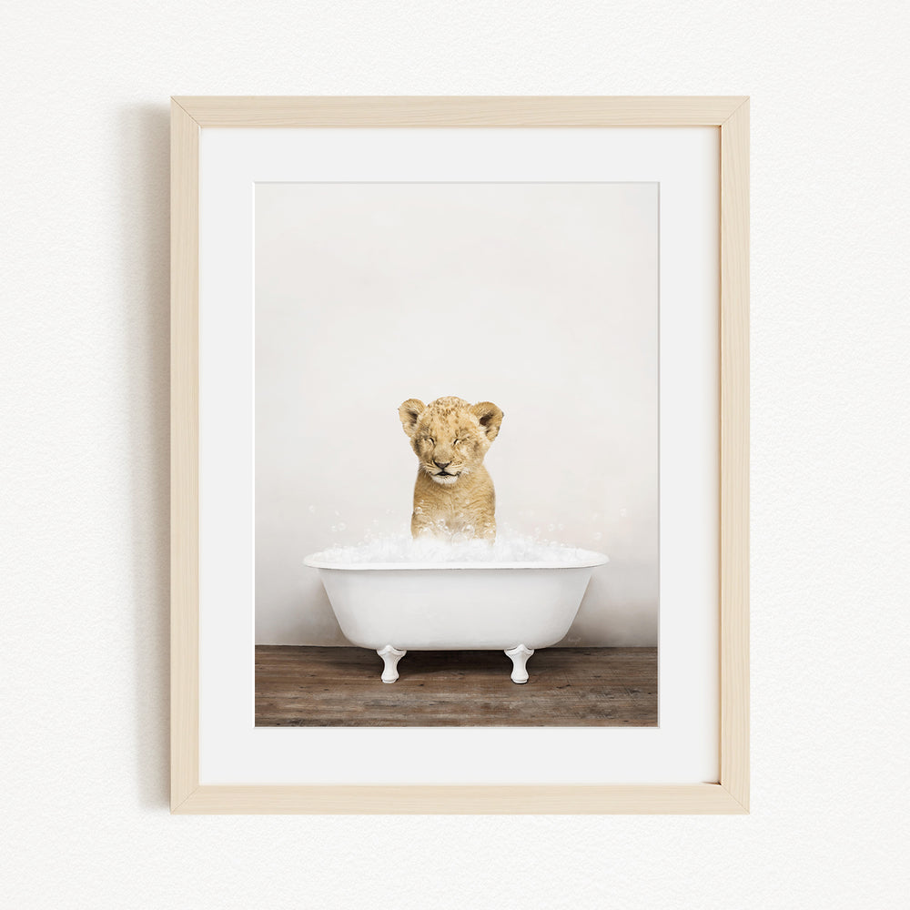 A young lion cub sitting in a white bathtub filled with water, looking up at the camera.