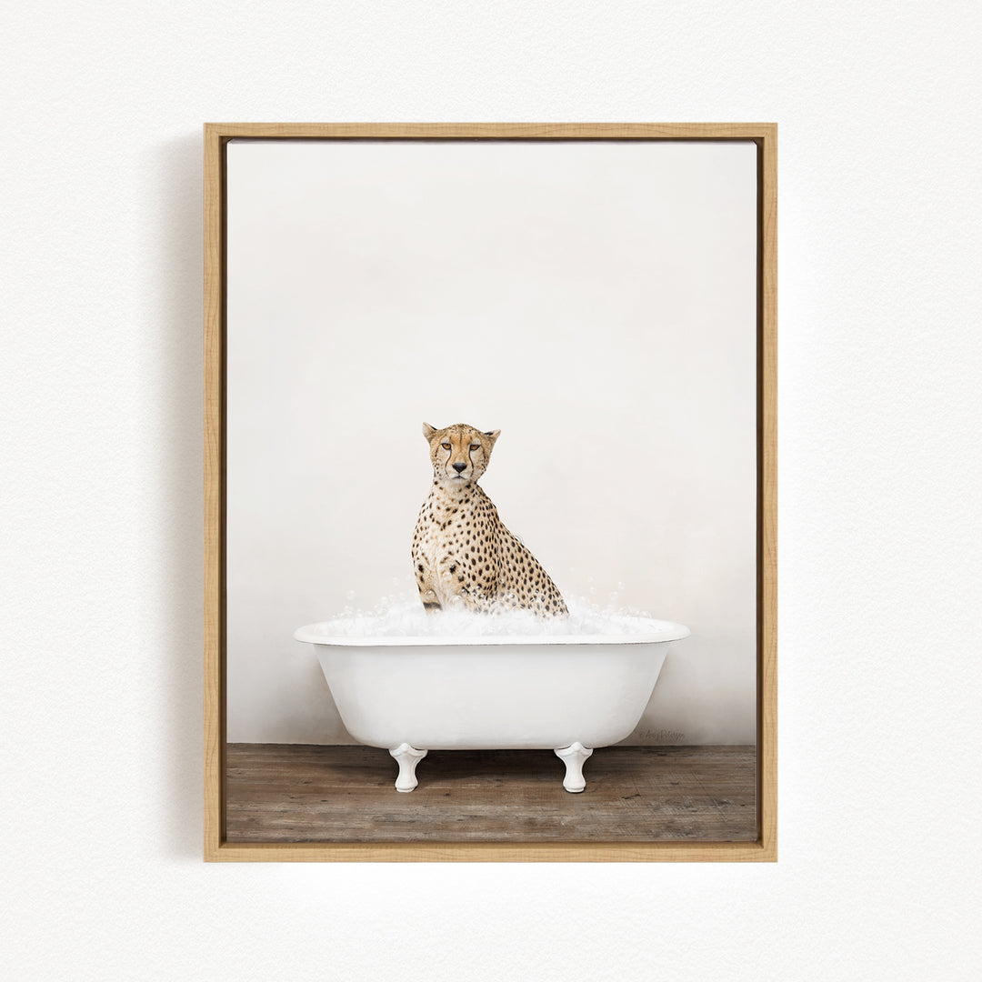 A cheetah sitting in a white bathtub filled with water.