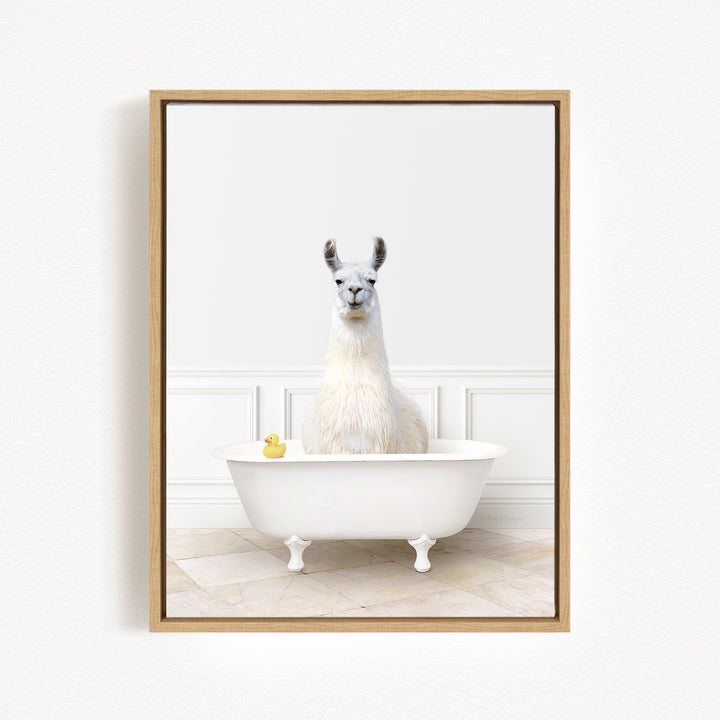 A white llama sitting in a white bathtub, with a yellow rubber duck floating on the water.