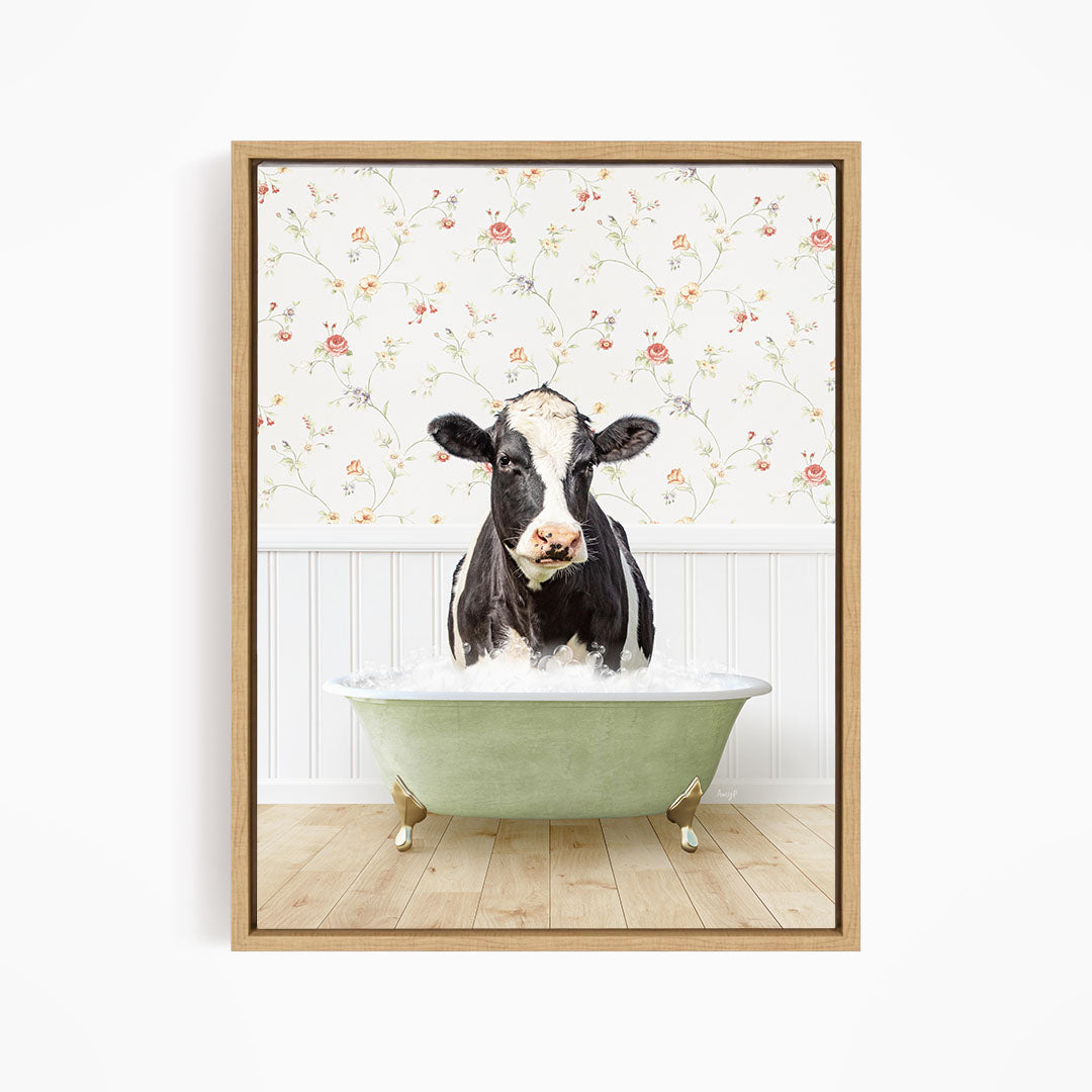 A black and white cow is sitting in a green bathtub filled with water, with a floral wallpaper in the background.