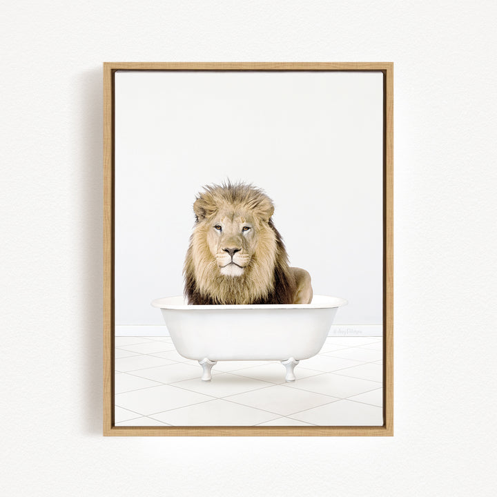 A majestic lion sits in a white bathtub, its gaze fixed directly on the camera.