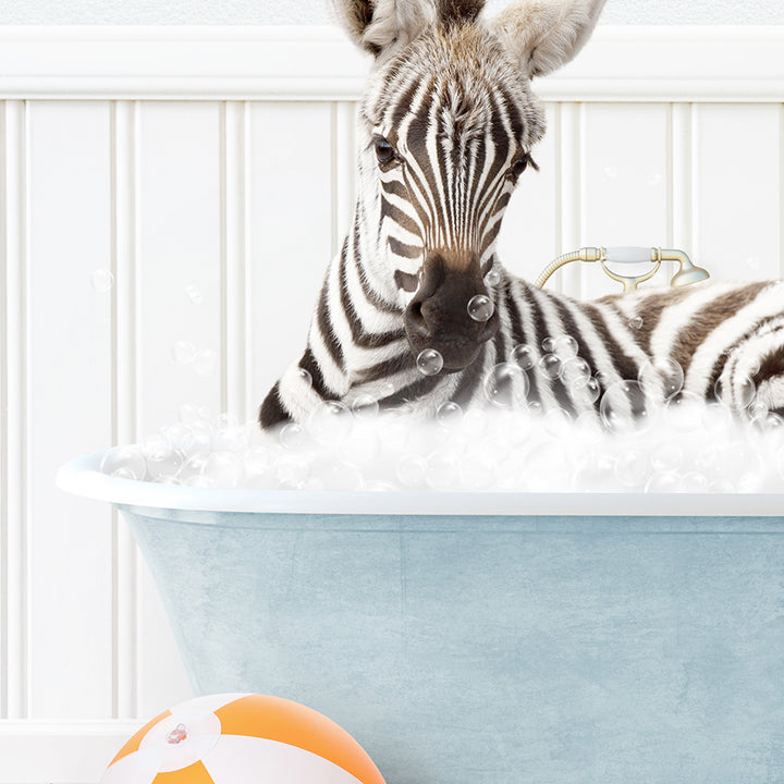 a baby zebra laying in a bath tub