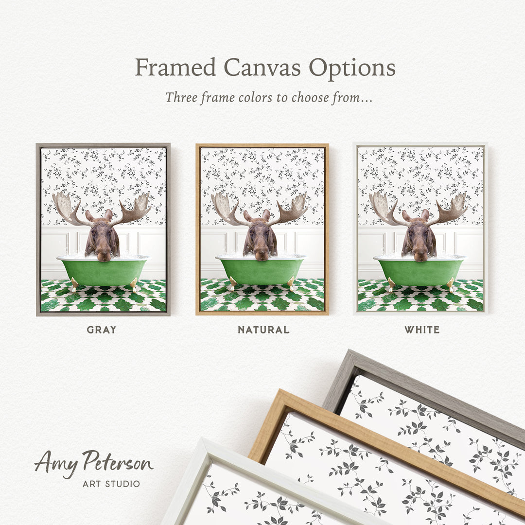 The image is a framed canvas option featuring three different framed pictures of a moose in a bathtub, each with a different frame color: gray, natural, and white.